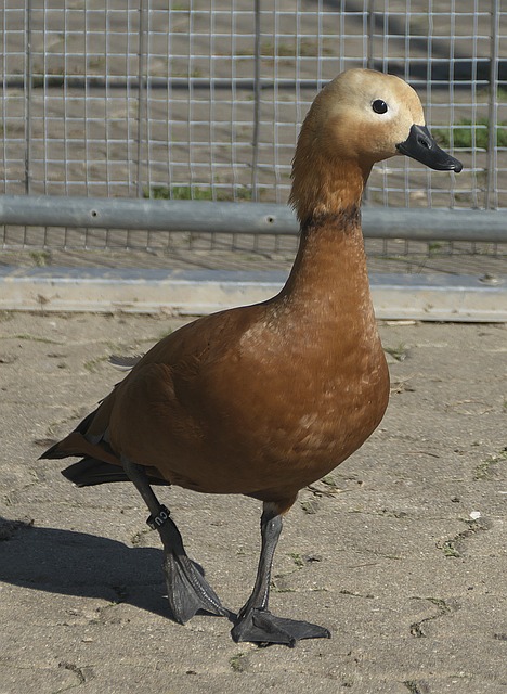 判断