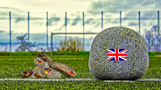 的技战术水 的技战术水