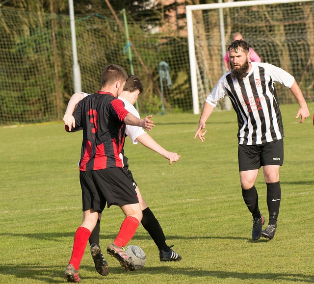 正因为如此 正因为如此