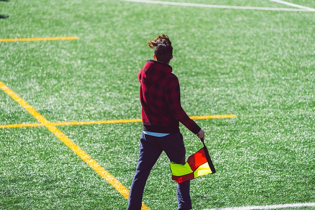 最终收获回 最终收获回