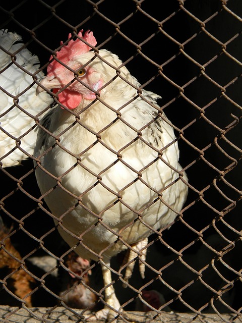 展现了MV 展现了MV