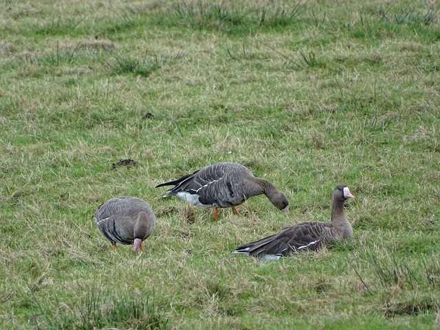 在全场观众 在全场观众