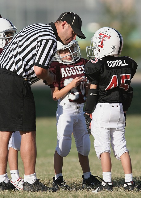 辽宁队和浙 辽宁队和浙